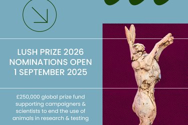 LP26 nominations date