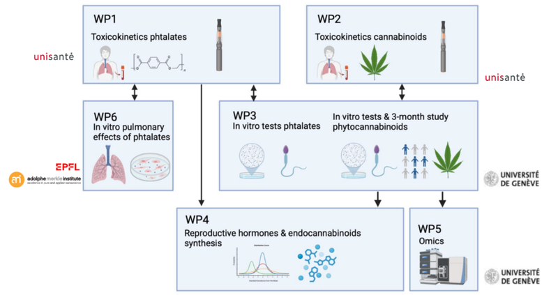 SCAHT Core Projects_Figures_2025-2028